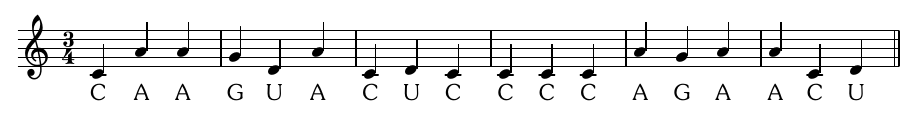 one note from each RNA base