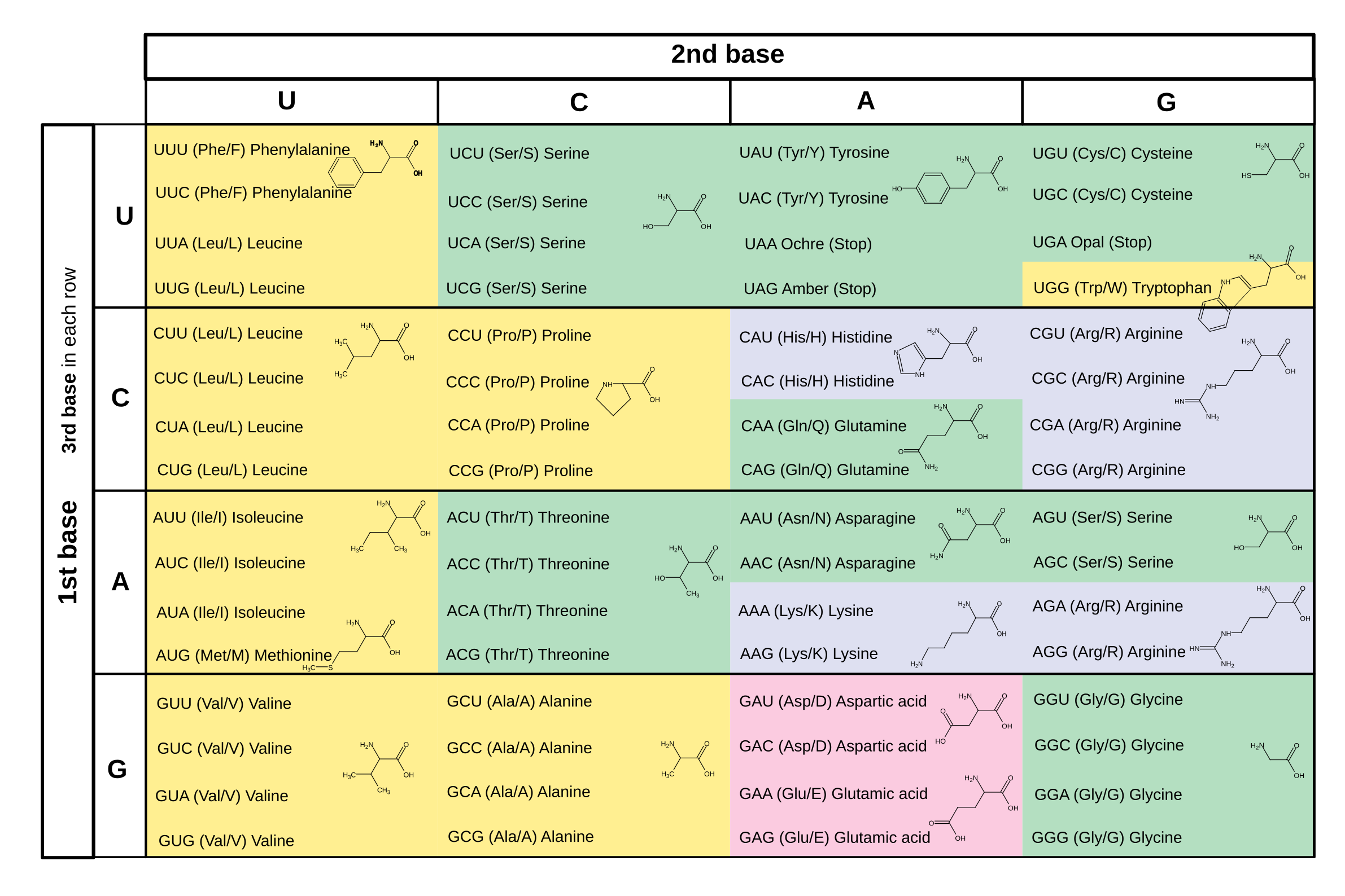 table of the standard genetic code