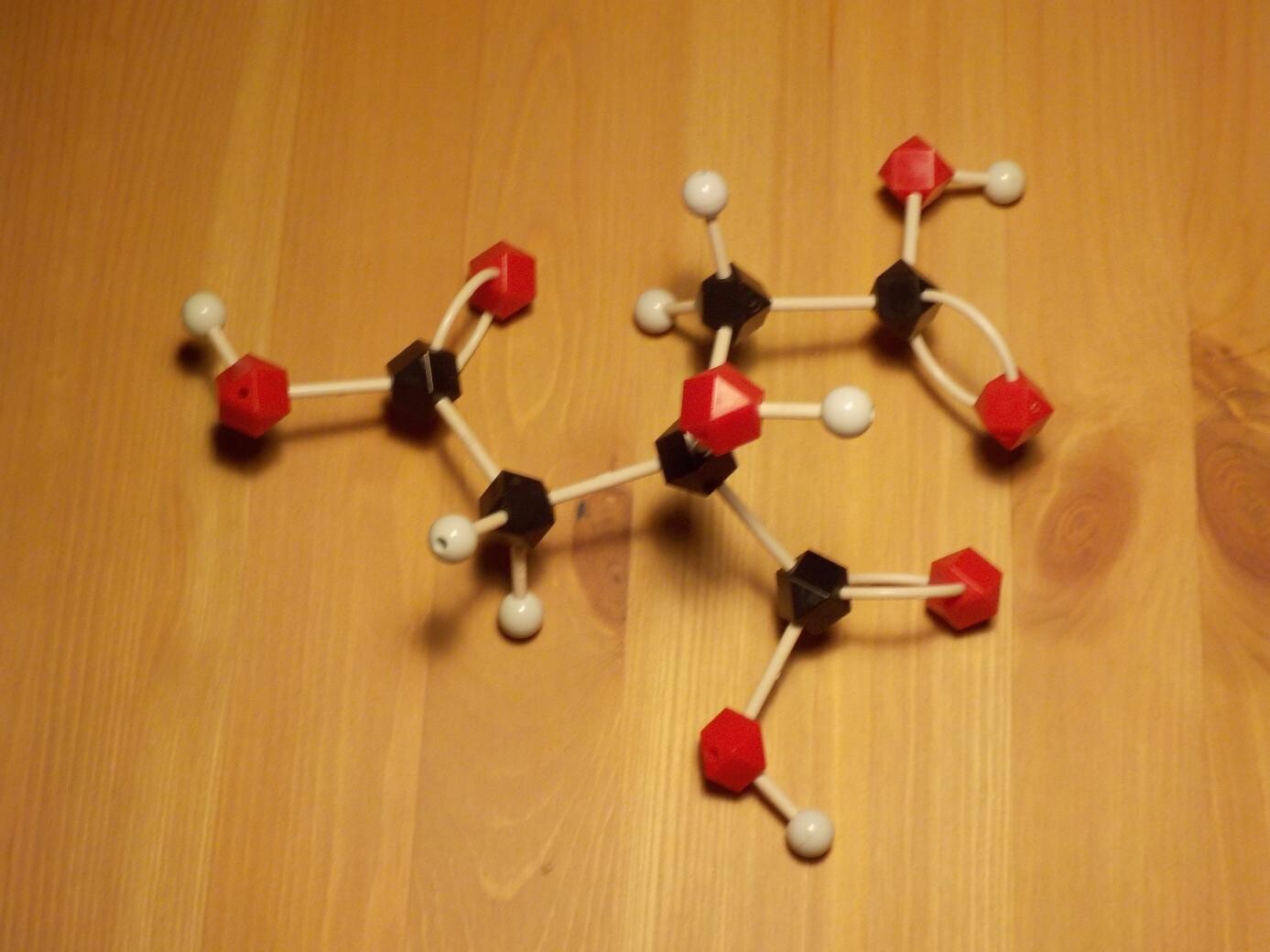 citric acid model