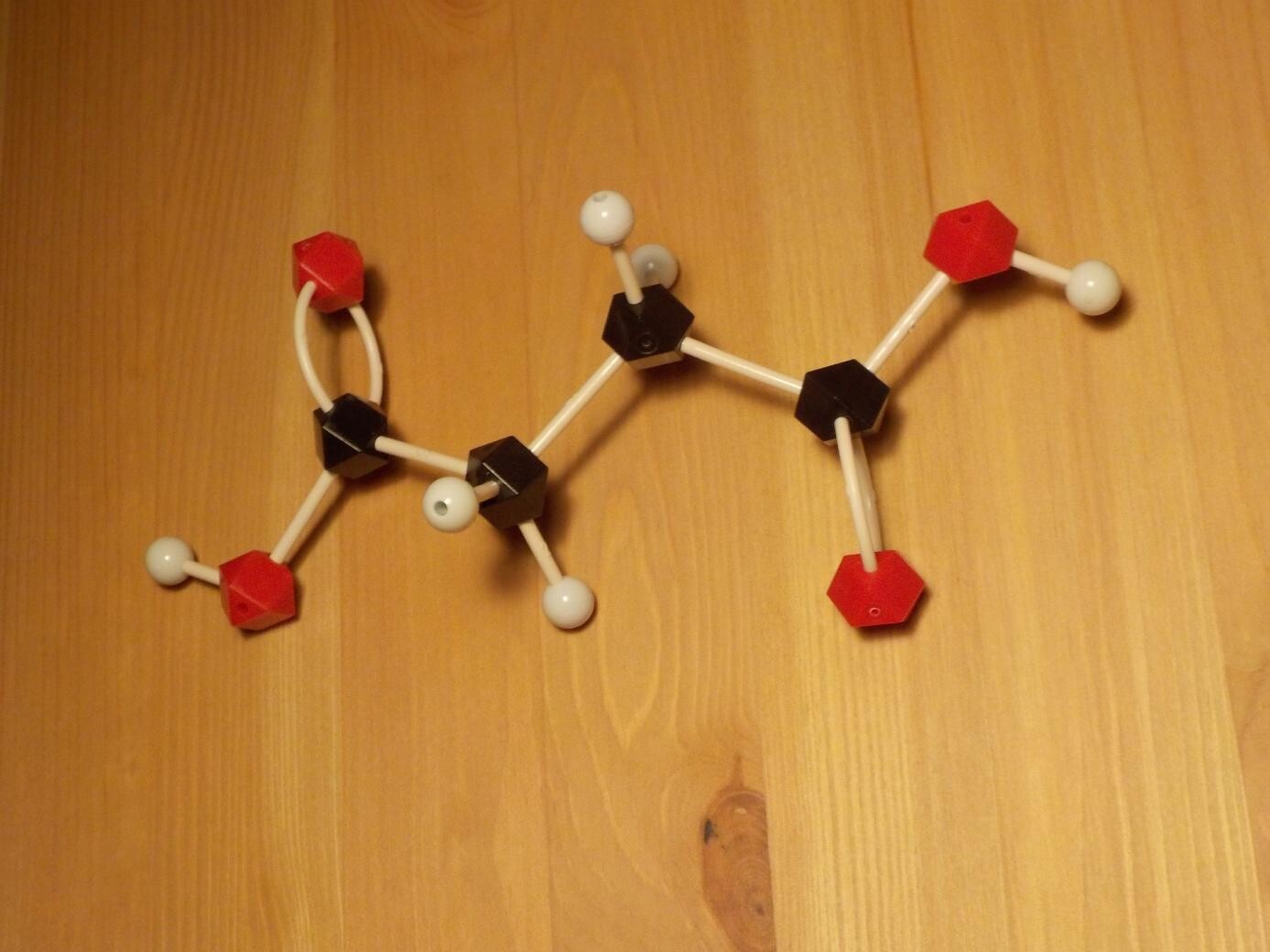 succinic acid model