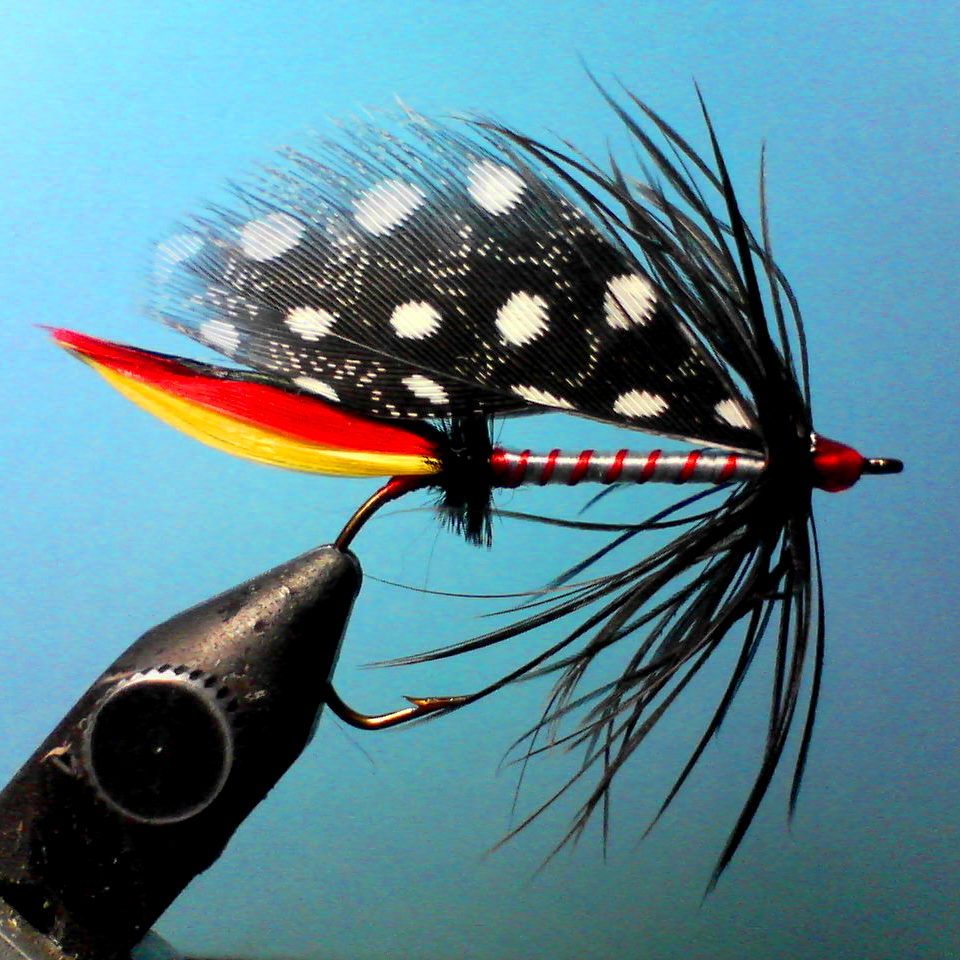 Classic Triumph bass fly tied by
Jeremy Acre