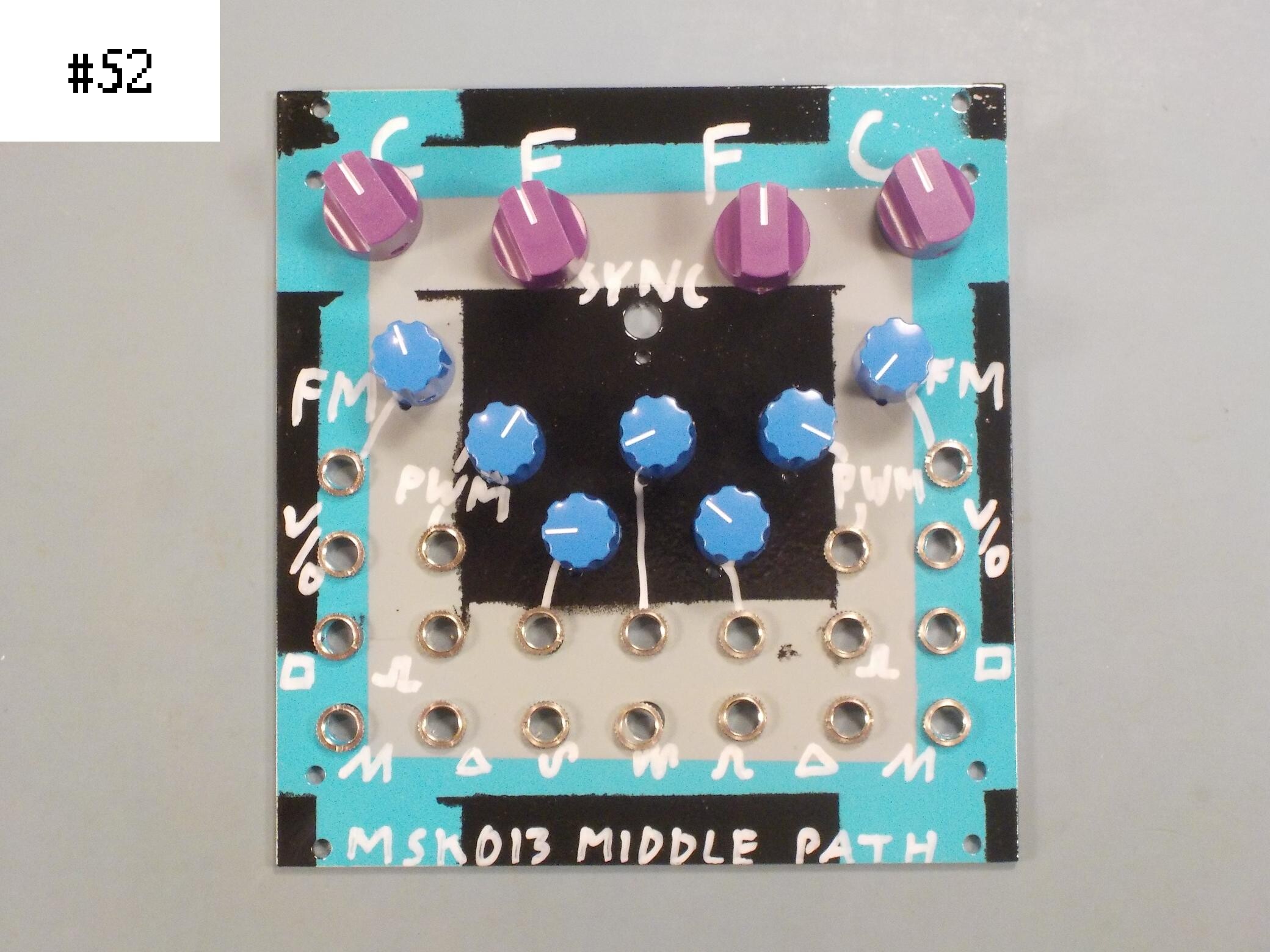 MSK 013 Middle Path VCO, custom panel #52